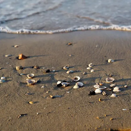 Lovely On The Coast Of Lejlighed *