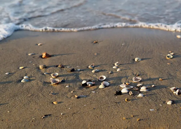 Lovely On The Coast Of Daire *